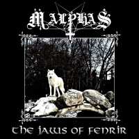 Album cover for The Jaws of Fenrir
