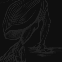 Album cover for Time of Scorn