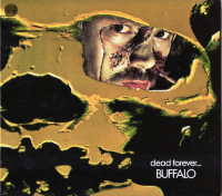 Album cover for Dead Forever...