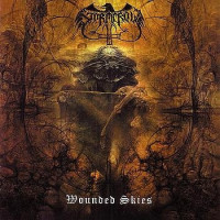 Album cover for Wounded Skies