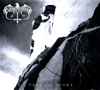 Album cover for Face the Giant