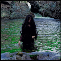 Album cover for The Veil