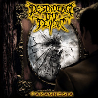 Album cover for Paramnesia