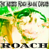 Roach