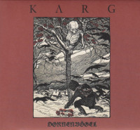 Album cover for Dornenvögel