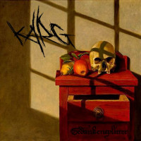 Album cover for Gedankensplitter