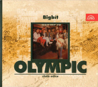 Album cover for Bigbít
