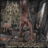 Album cover for Through the Septic Cavity