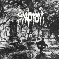 Album cover for Symptom