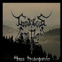 Hass Propaganda