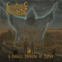Album cover for A Parallel Dimension of Despair
