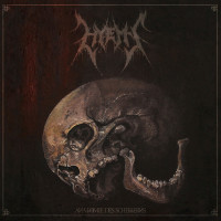 Album cover for Anatomie des Scheiterns