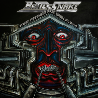 Album cover for The Fathers of Iron Flesh