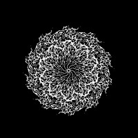 Album cover for Seer