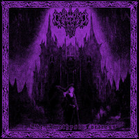 Album cover for The Amethyst Fortress