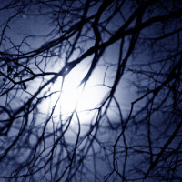 Album cover for Vi er natten