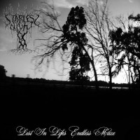 Lost in Life's Endless Maze