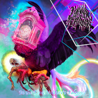 Album cover for In the Time Vulture's Talons