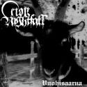 Album cover for Vuohisaarna