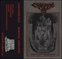 Album cover for Spiritual Migration