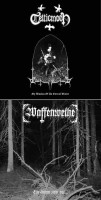 Album cover for Ein Sturm Zieht Auf...