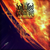 Album cover for Solar Cremation