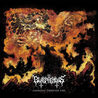 Album cover for Emerging Through Fire