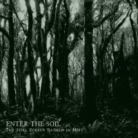 Album cover for The Still Forest, Bathed in Mist