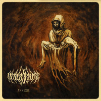 Album cover for Amnesia