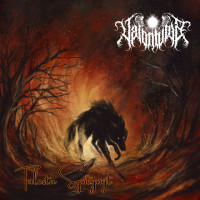 Album cover for Tulesta syntynyt