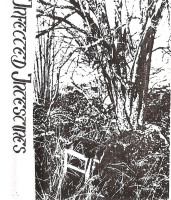 Album cover for The Disguise