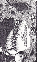 Album cover for Inner Destruction