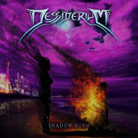 Album cover for Shadow Burn