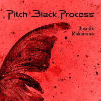 Album cover for Buselik Makamına