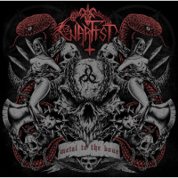 Album cover for Metal to the Bone