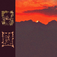 Eliante // Trhä