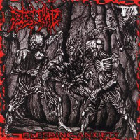 Album cover for Bleeding Anxiety