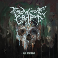 Album cover for Born in the Grave
