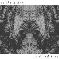 Album cover for Cold and True