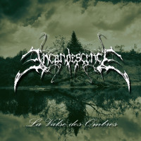 Album cover for La valse des ombres