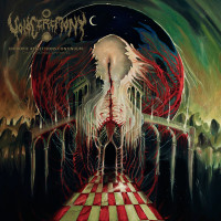 Album cover for Entropic Reflections Continuum: Dimensional Unravel