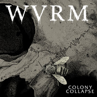 Album cover for Colony Collapse