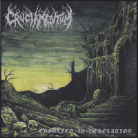 Album cover for Engulfed in Desolation