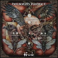 Album cover for Husk