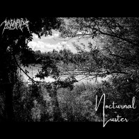Album cover for Nocturnal Luster