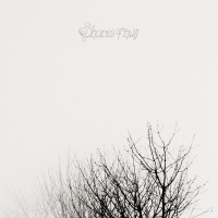 Album cover for Beyond the Shores (excerpt III)