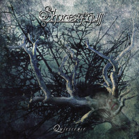 Quiescence