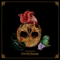 Album cover for Eleventh Formulae