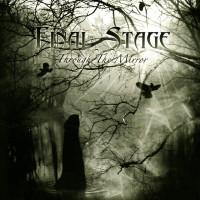 Album cover for Through the Mirror