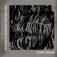 Album cover for Fever Dream